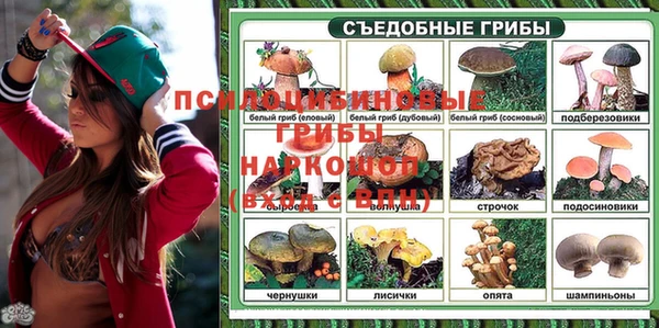 амф Алексеевка