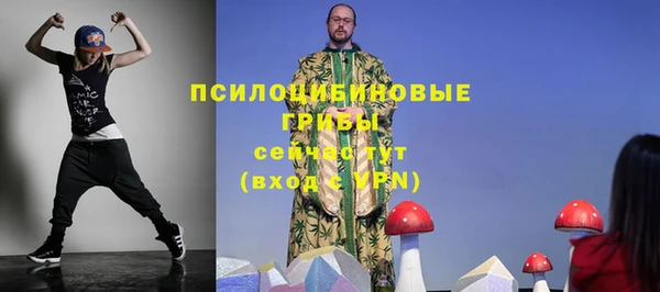 амф Алексеевка