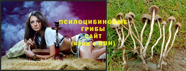 скорость Алексин