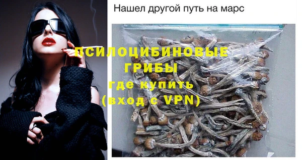 PSILOCYBIN Алзамай