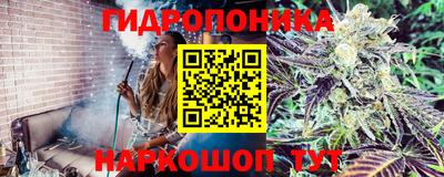 ГАЛЛЮЦИНОГЕННЫЕ ГРИБЫ Малоярославец