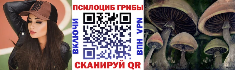 Галлюциногенные грибы Magic Shrooms  Тара 
