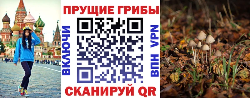Галлюциногенные грибы прущие грибы Тара
