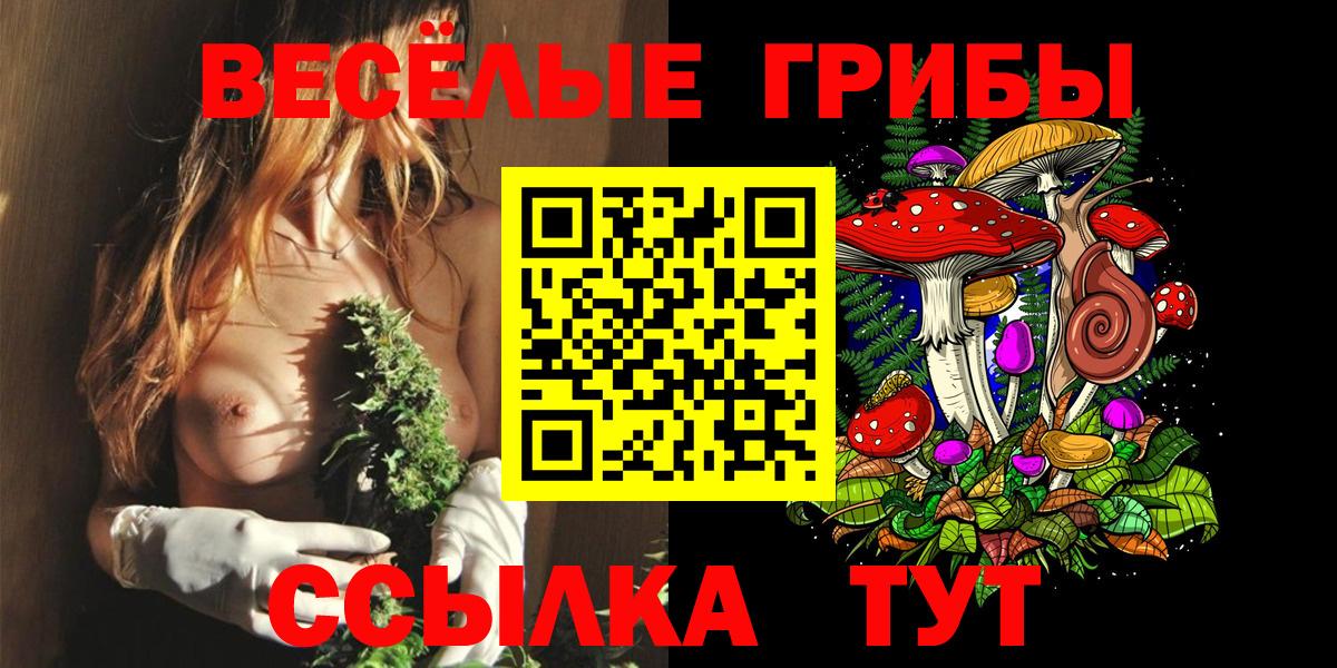 Тара  Галлюциногенные грибы ЛСД  Вход с VPN  Галлюциногенные грибы Magic Shrooms 