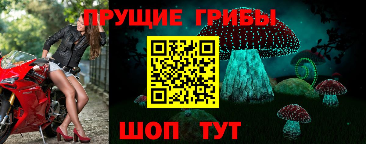 Псилоцибиновые грибы Magic Shrooms Тара